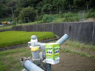 IMGP2459.JPG